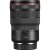 Canon RF 15-35mm f/2.8L IS USM Lens