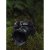 OM SYSTEM OM-1 Mark II Mirrorless Camera Body
