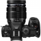 OM SYSTEM OM-1 Mark II Mirrorless Camera with M.Zuiko Digital ED 12-40mm f/2.8 PRO II Lens - view 3