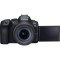 Canon EOS R6 Mark II Mirrorless Camera with RF 24-105mm f/4-7.1 IS STM Lens - view 9